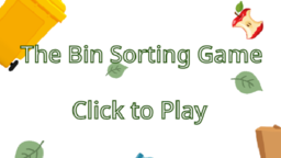 The Bin Sorting Game preview
